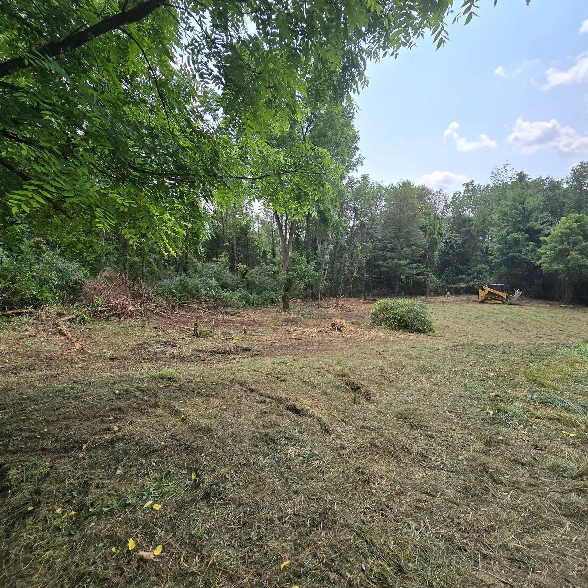 A large grassy field surrounded by trees on a sunny day.