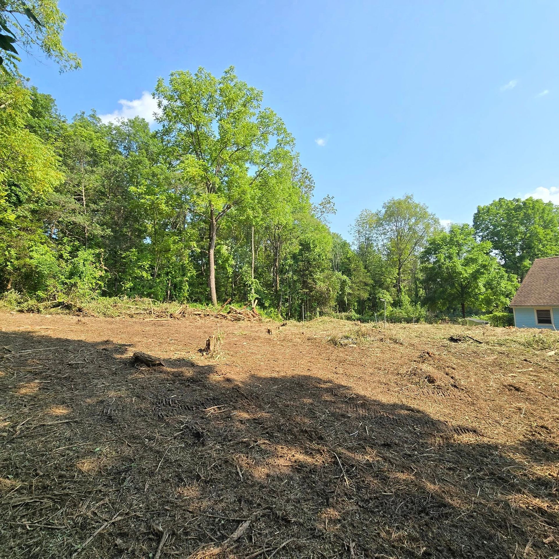 A house is sitting in the middle of a field surrounded by trees.