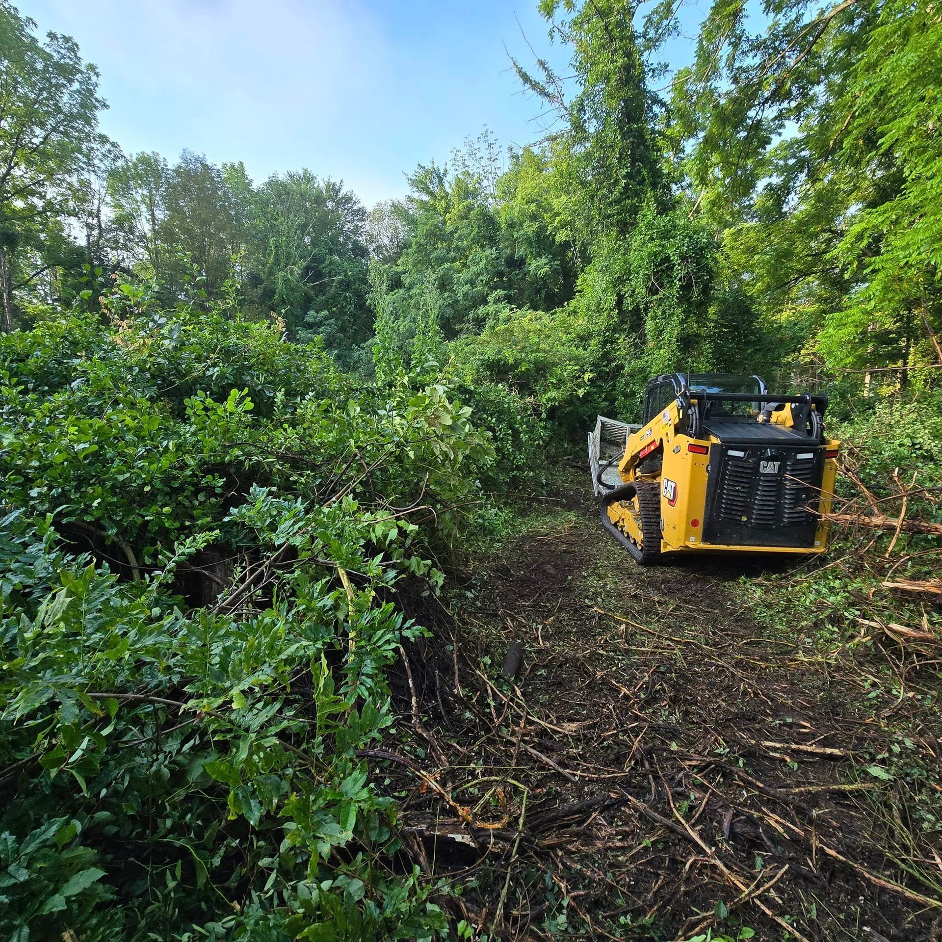 A yellow skid steer is driving through a lush green forest.