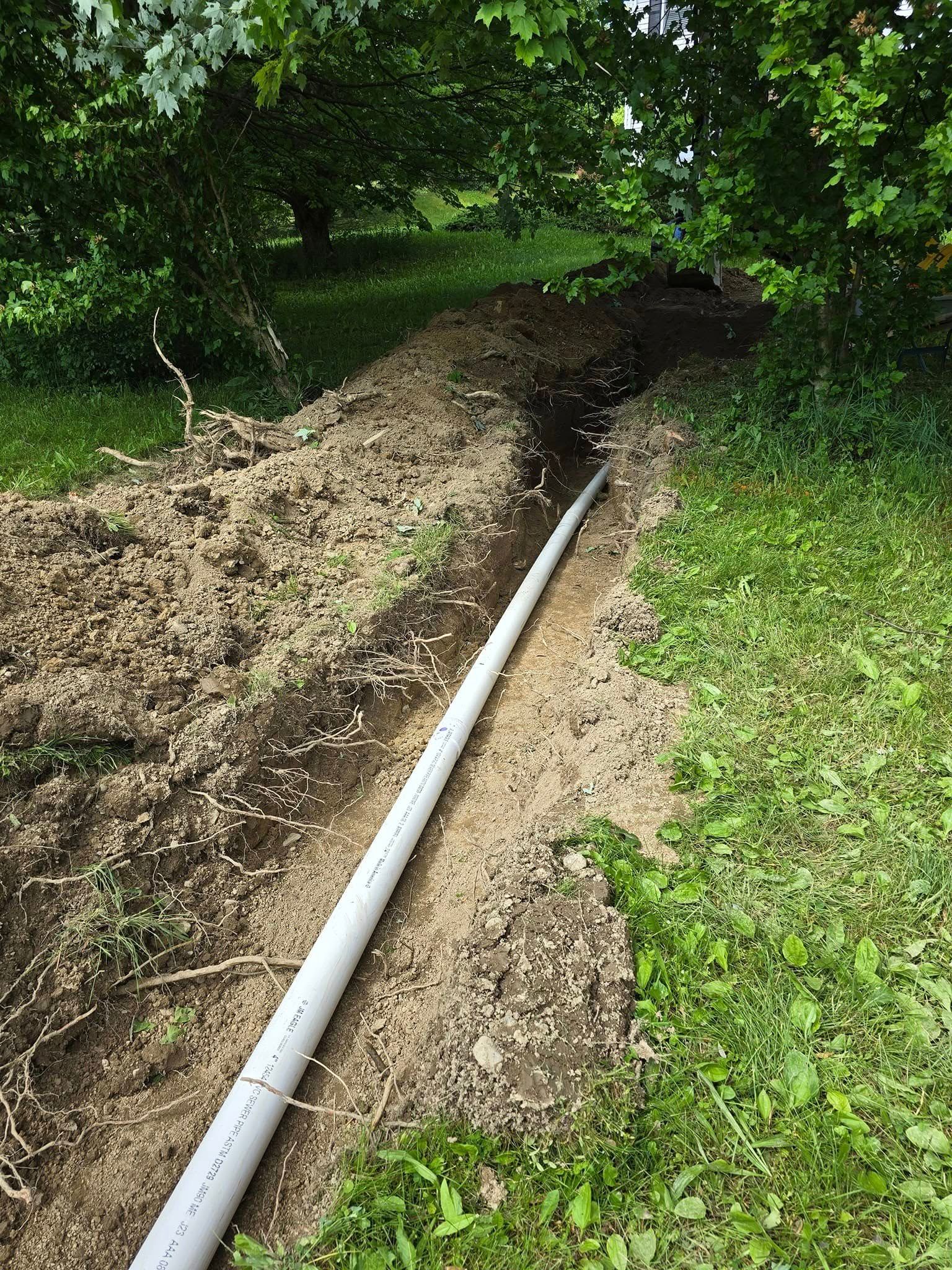 A white pipe is laying in the dirt next to a tree.