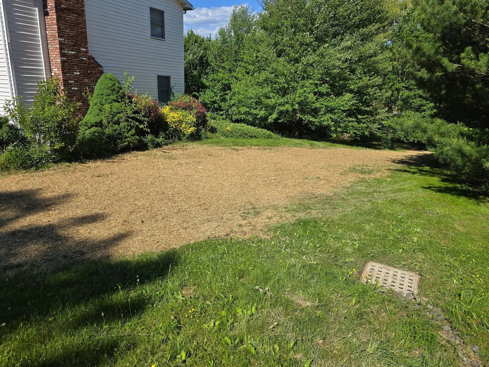 There is a gravel driveway in the middle of a lush green yard.