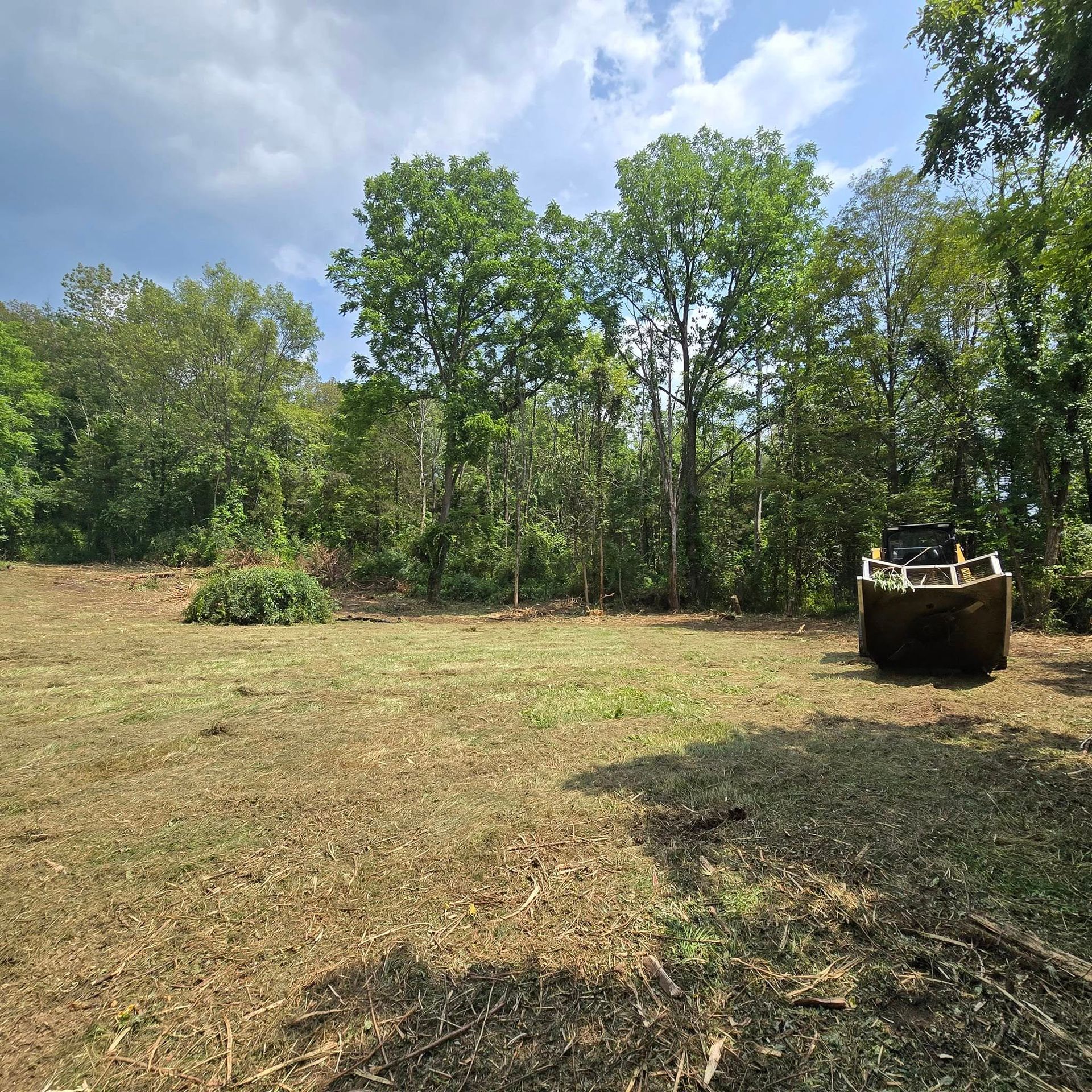 A bulldozer is cutting grass in a field with trees in the background.