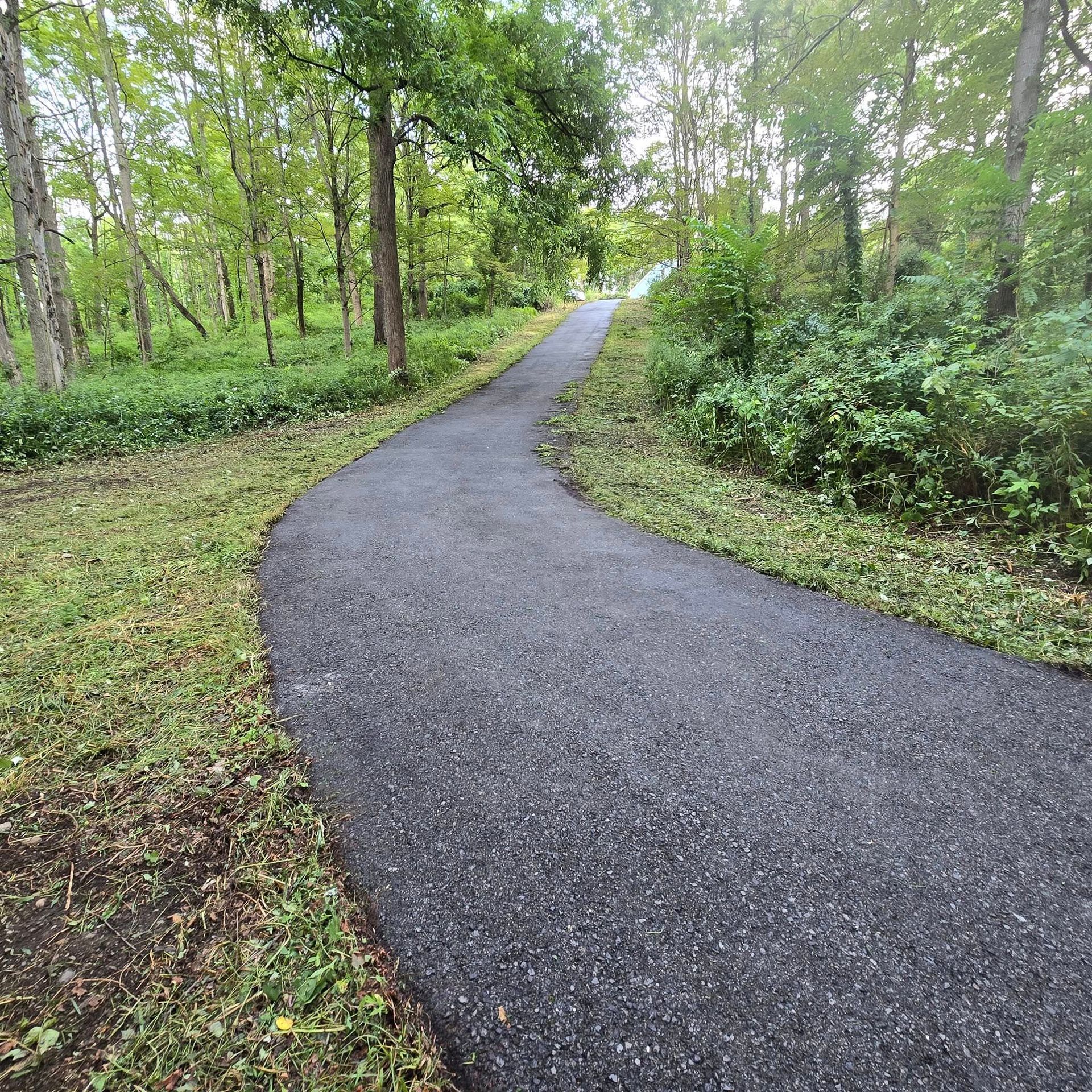 A path going through a forest with trees on both sides.
