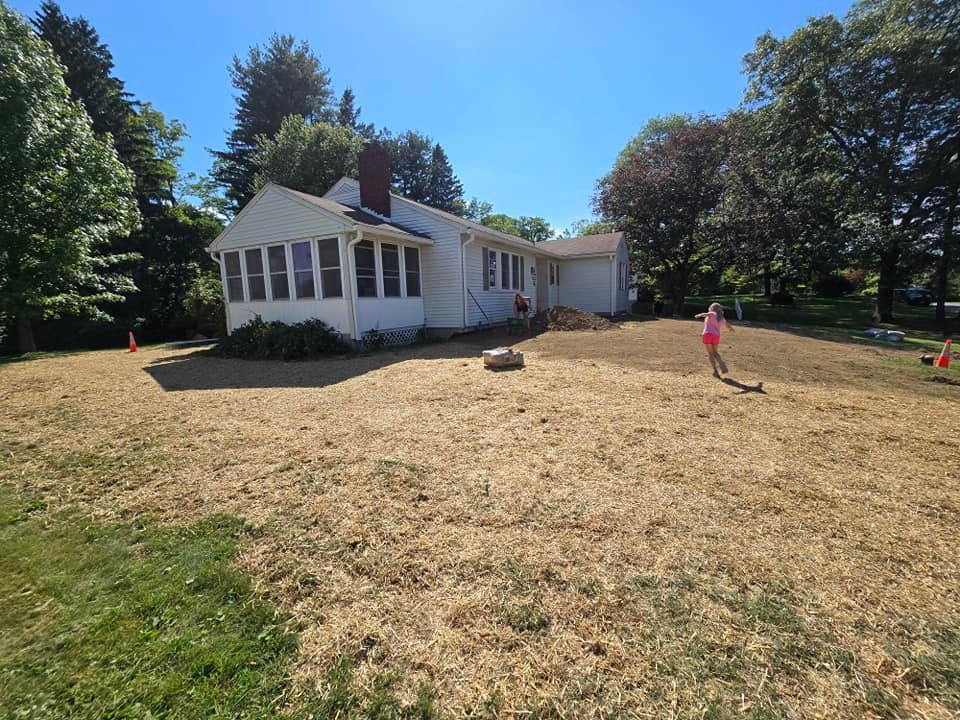 A house with a lot of grass in front of it