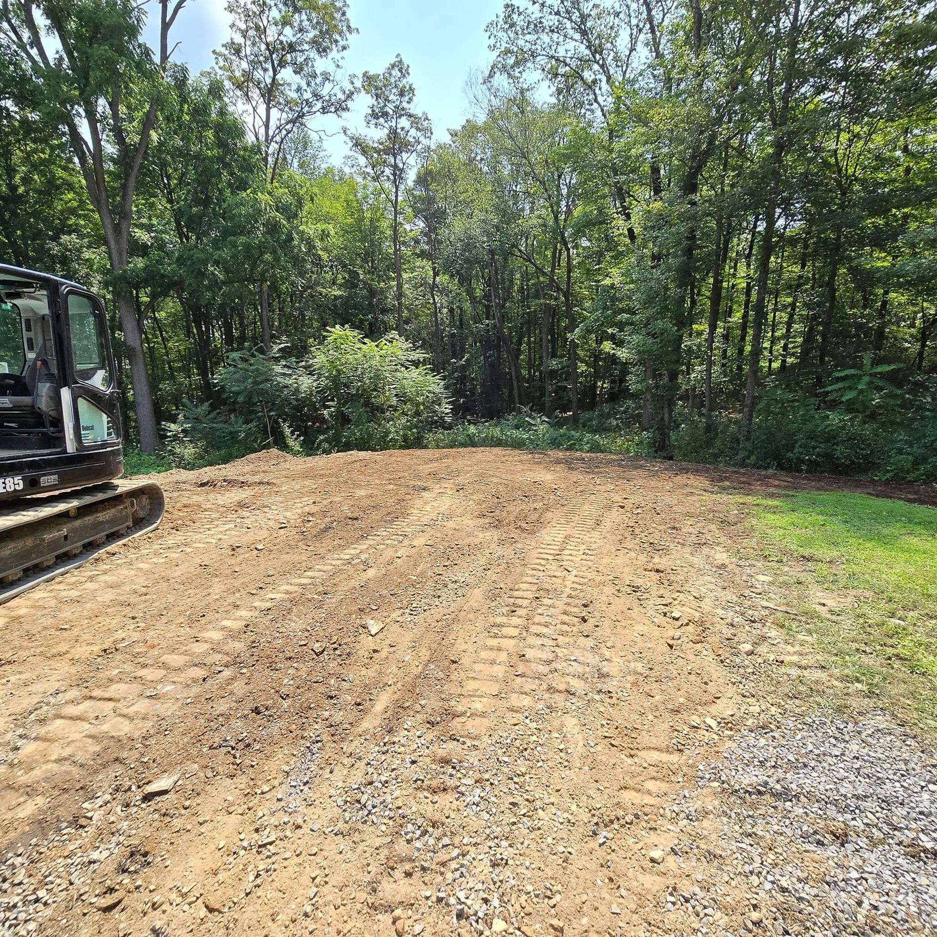 A bulldozer is driving down a dirt road in the middle of a forest.