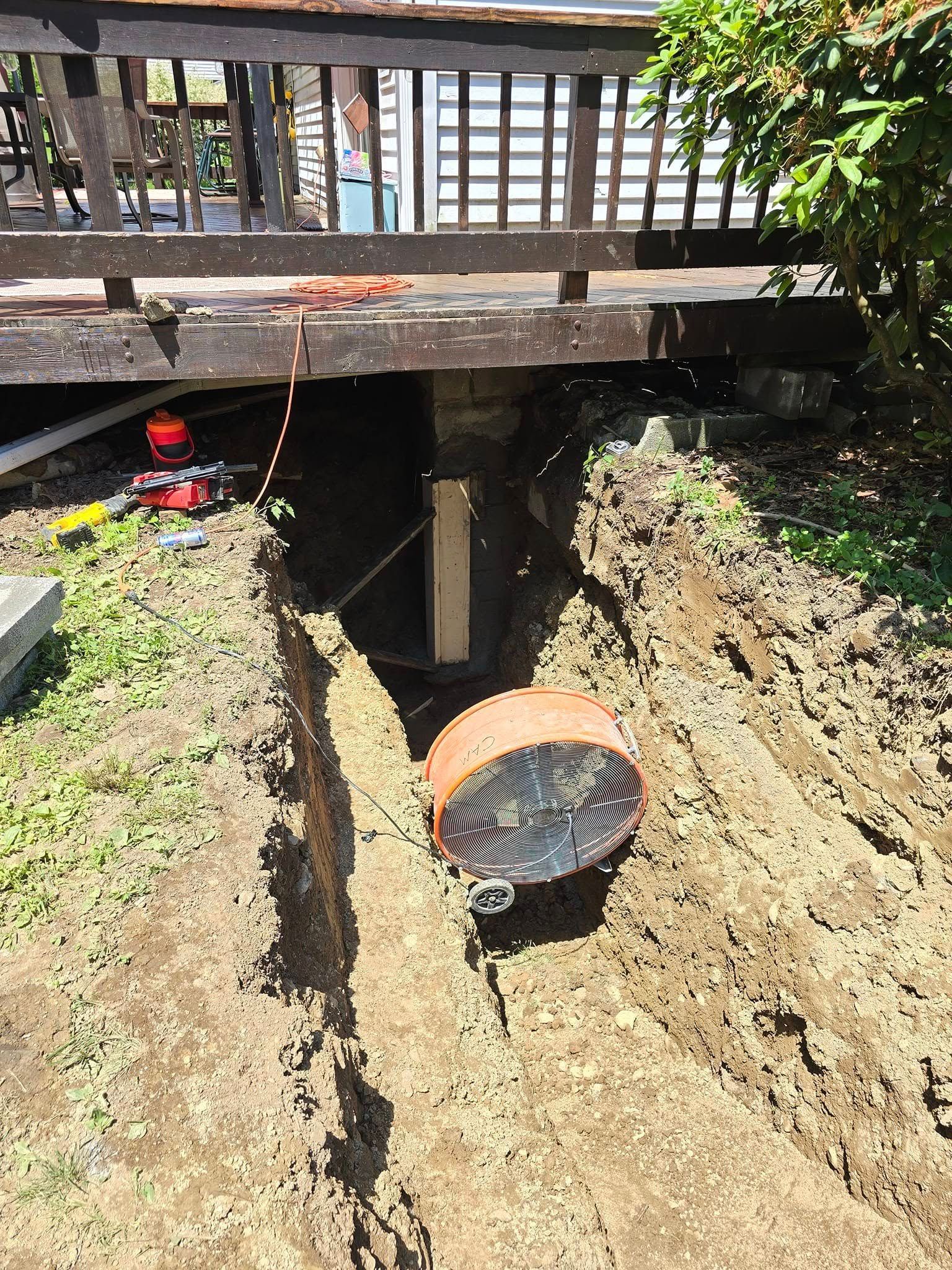 A turtle is sitting in the dirt under a wooden deck.