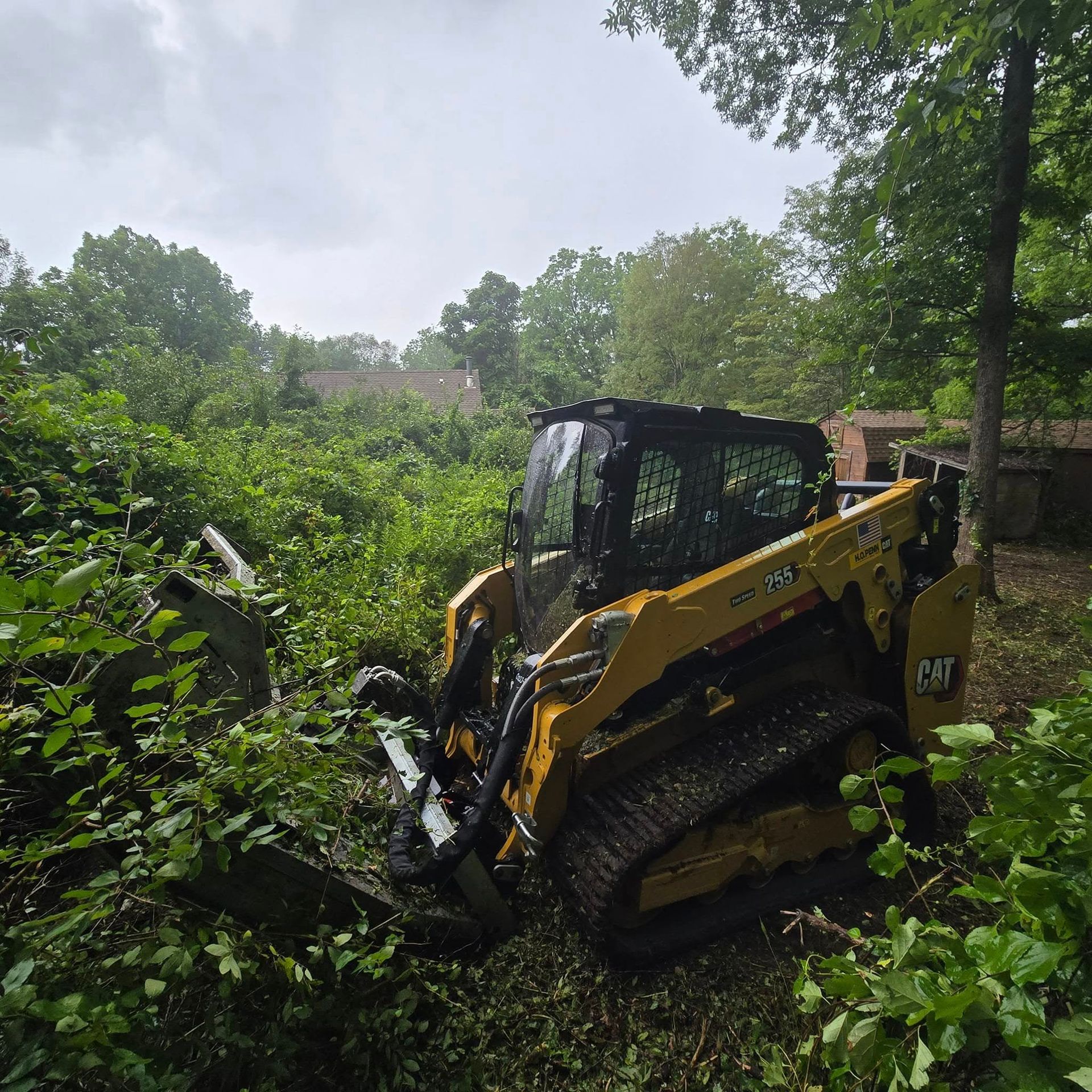A yellow cat tractor is cutting a tree in a yard