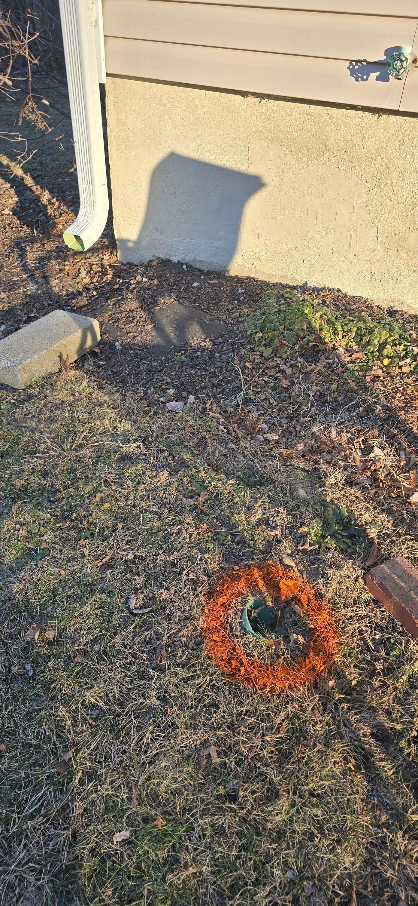 A squirrel is sitting in the grass in front of a house.