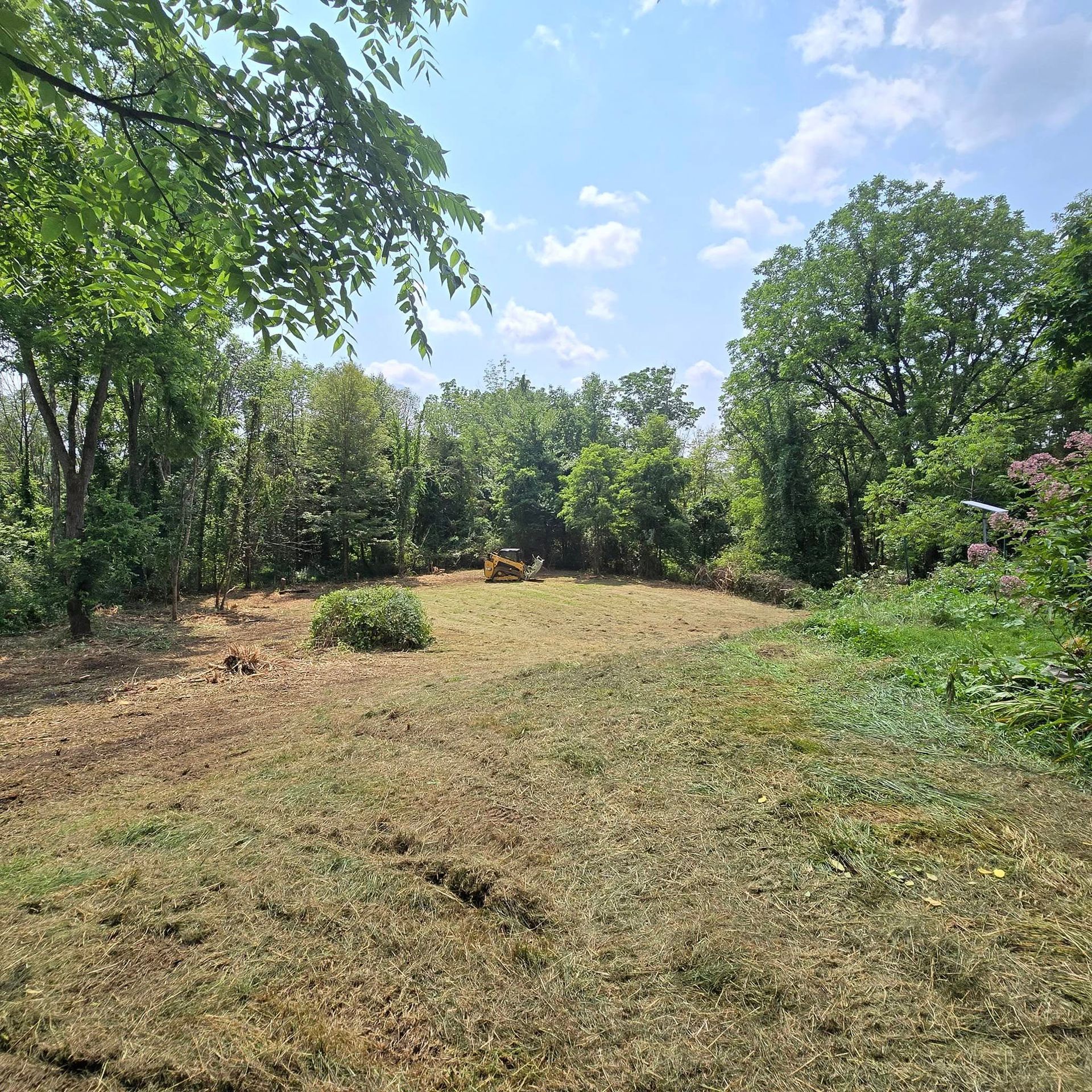 A large grassy field surrounded by trees on a sunny day.
