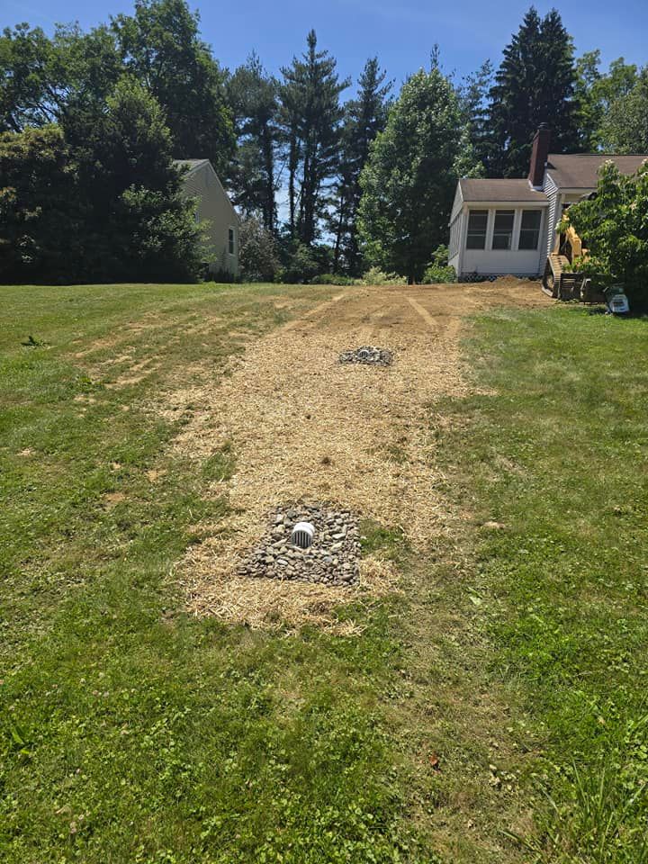 A dirt road leading to a house with trees in the background