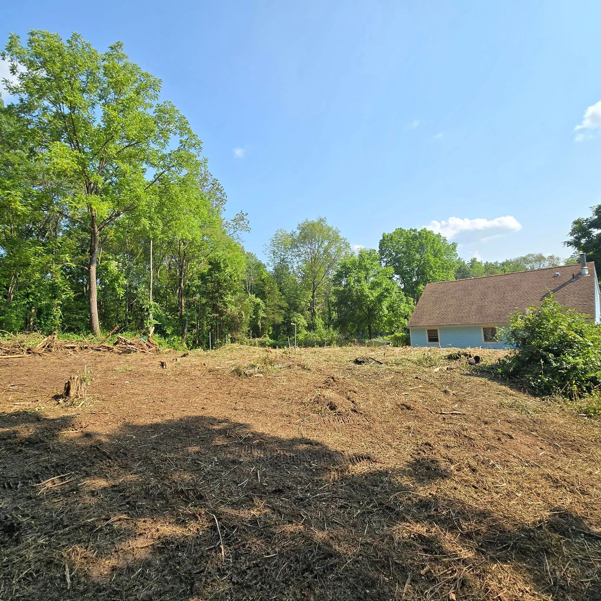 A house sits in the middle of a field surrounded by trees