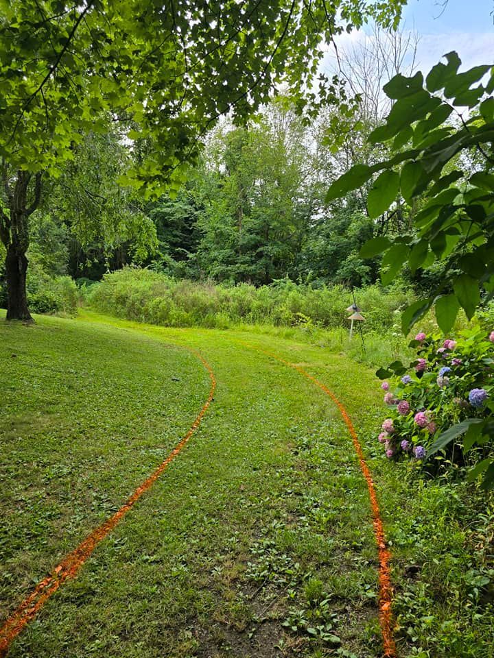 A dirt road is going through a grassy field with trees in the background.