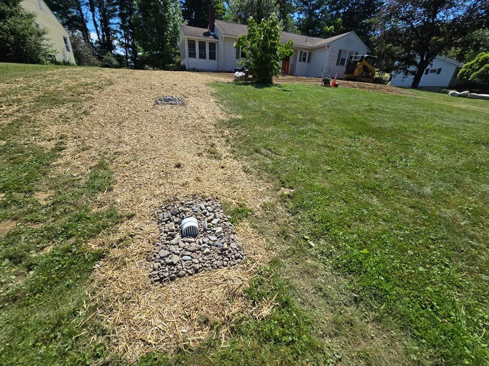 A house is sitting in the middle of a lush green field.
