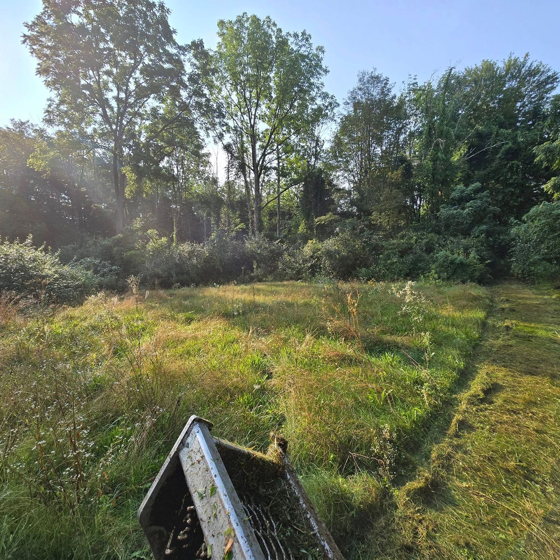 A large grassy field with trees in the background