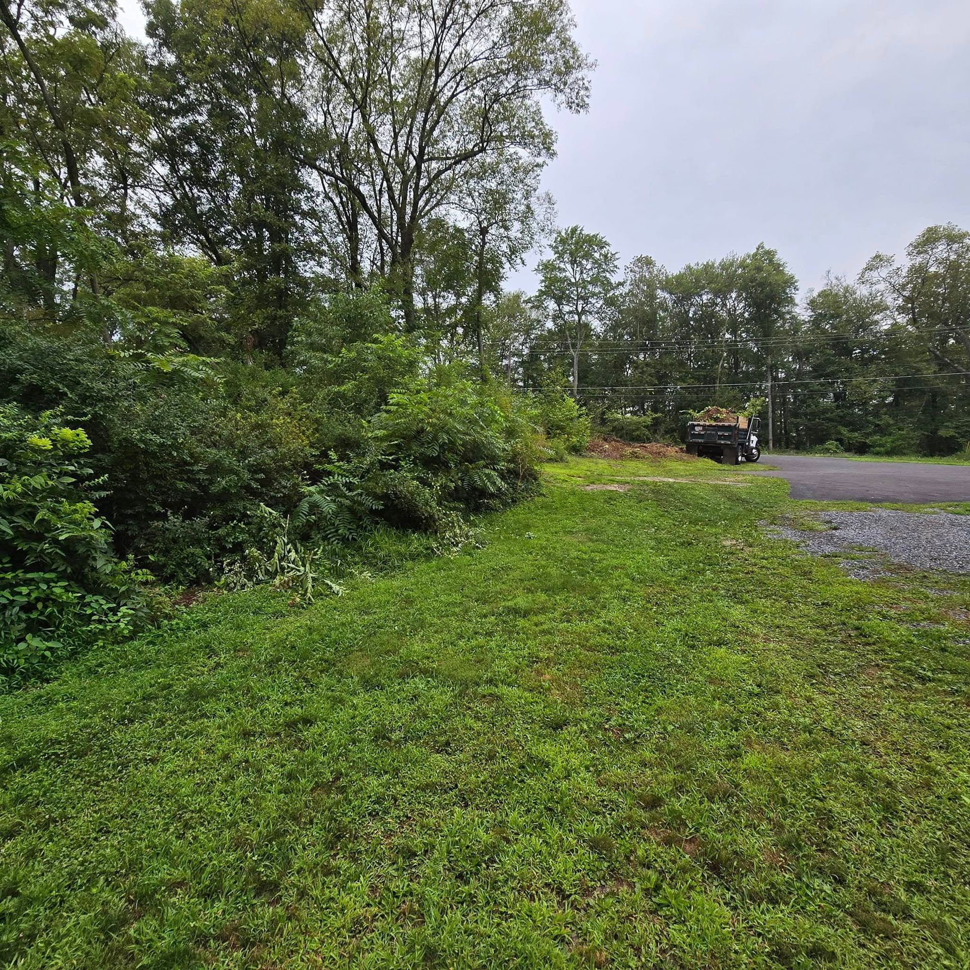 A truck is parked on the side of the road in a grassy area.