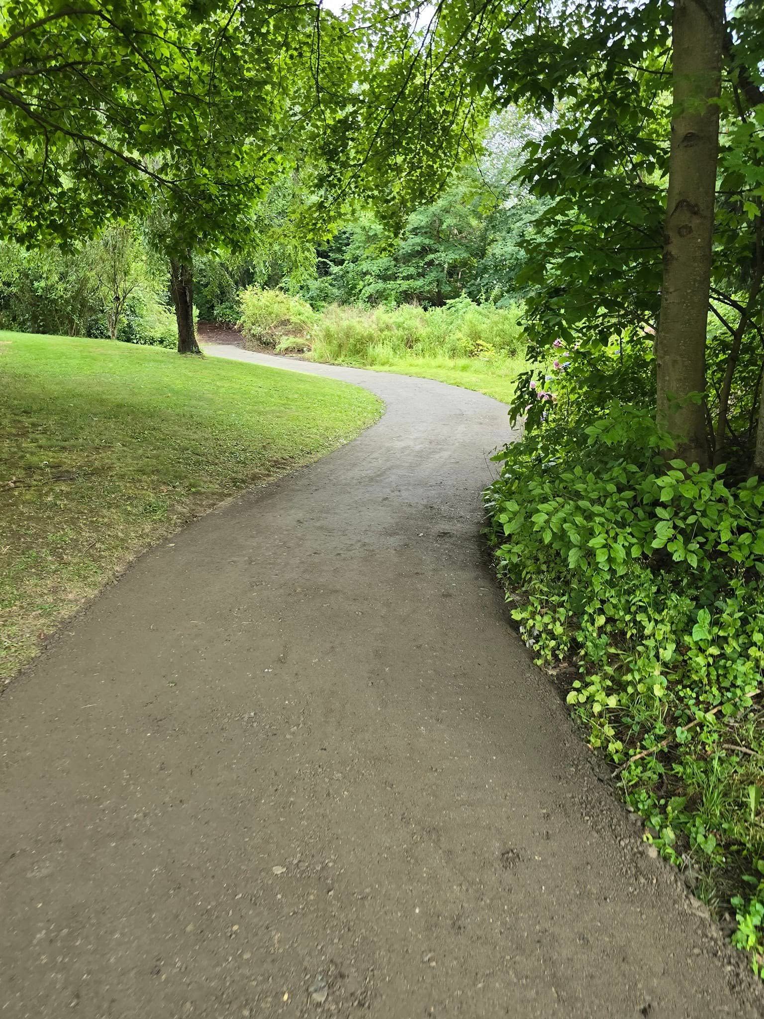 A path going through a park with trees on both sides