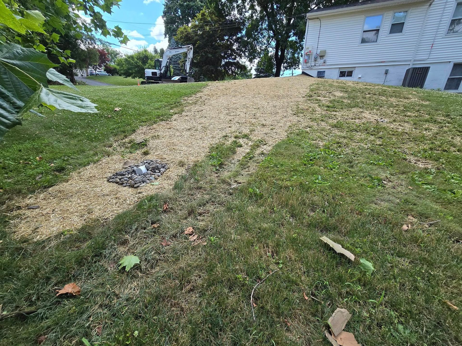 A dirt path going through a grassy field next to a house.