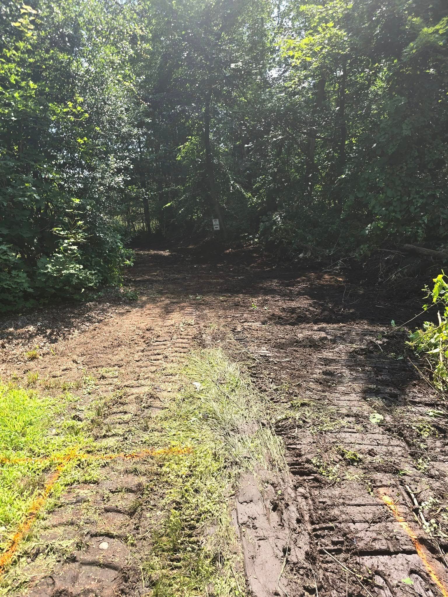 A muddy dirt road in the middle of a forest.