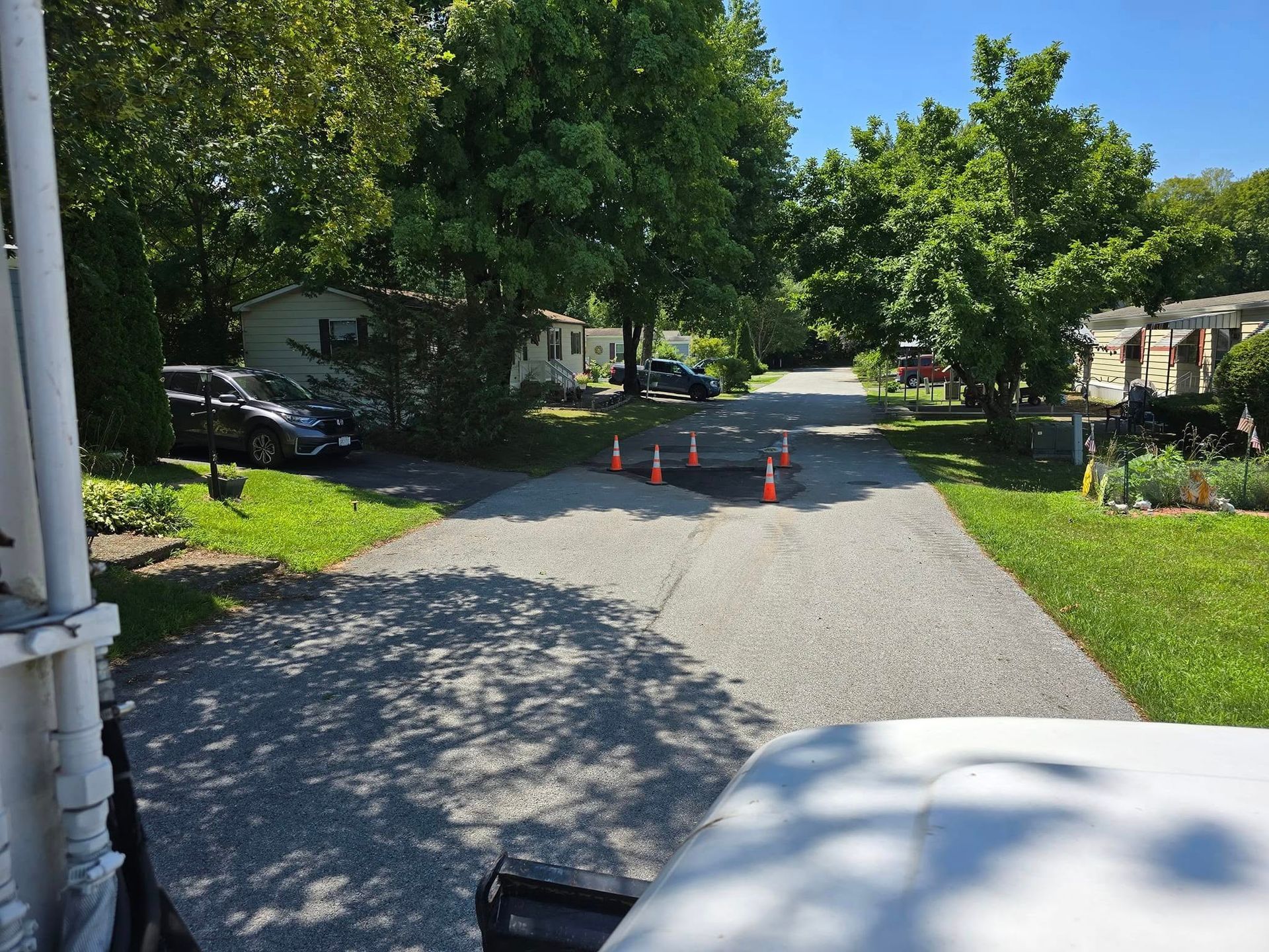 A street with a lot of trees and cones on it