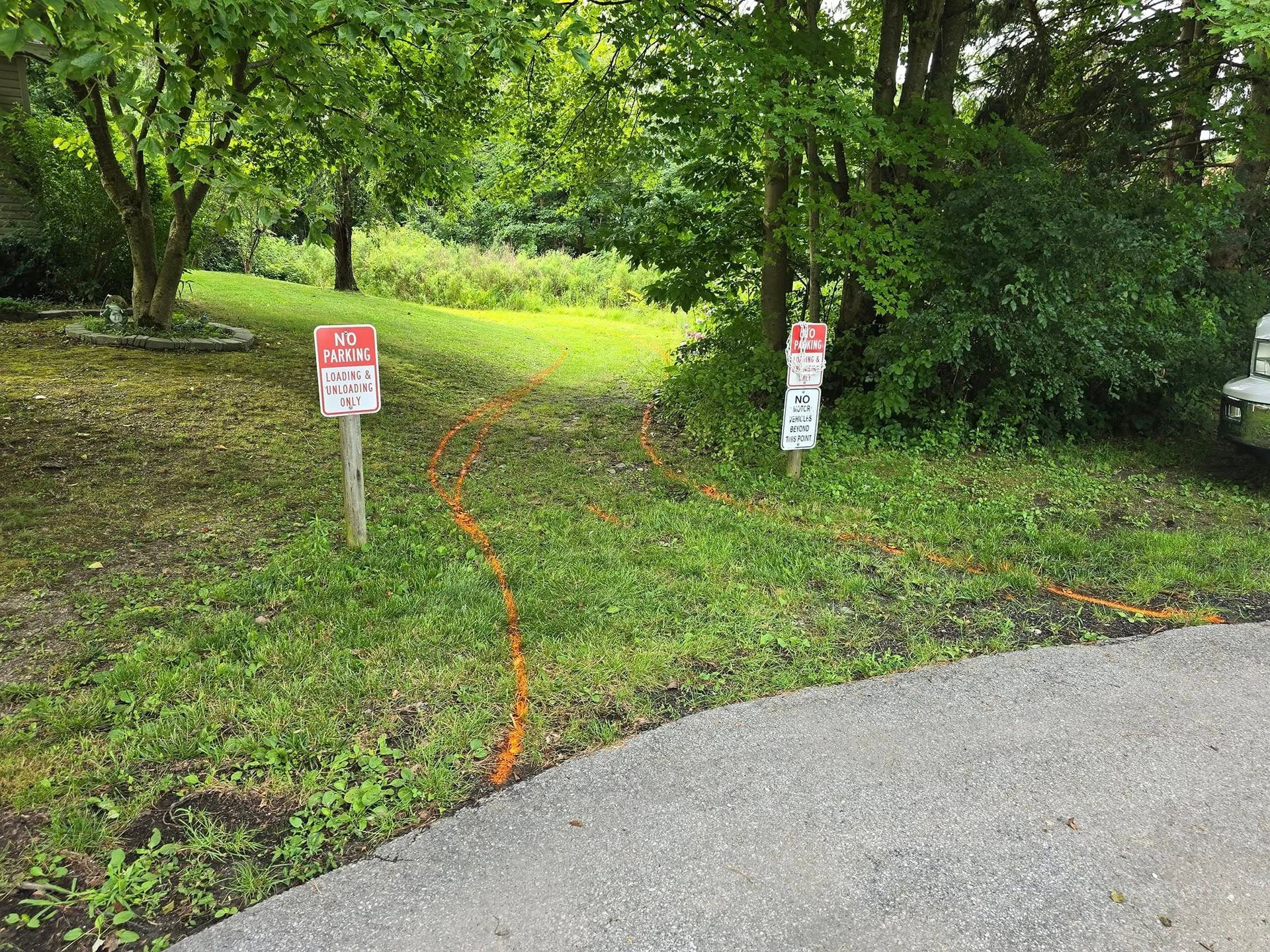 There are two signs on the side of the road that say no parking.