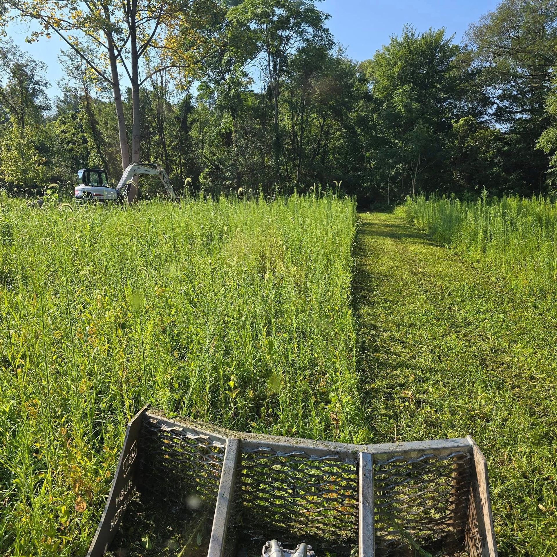 A tractor is cutting grass in a field with trees in the background.
