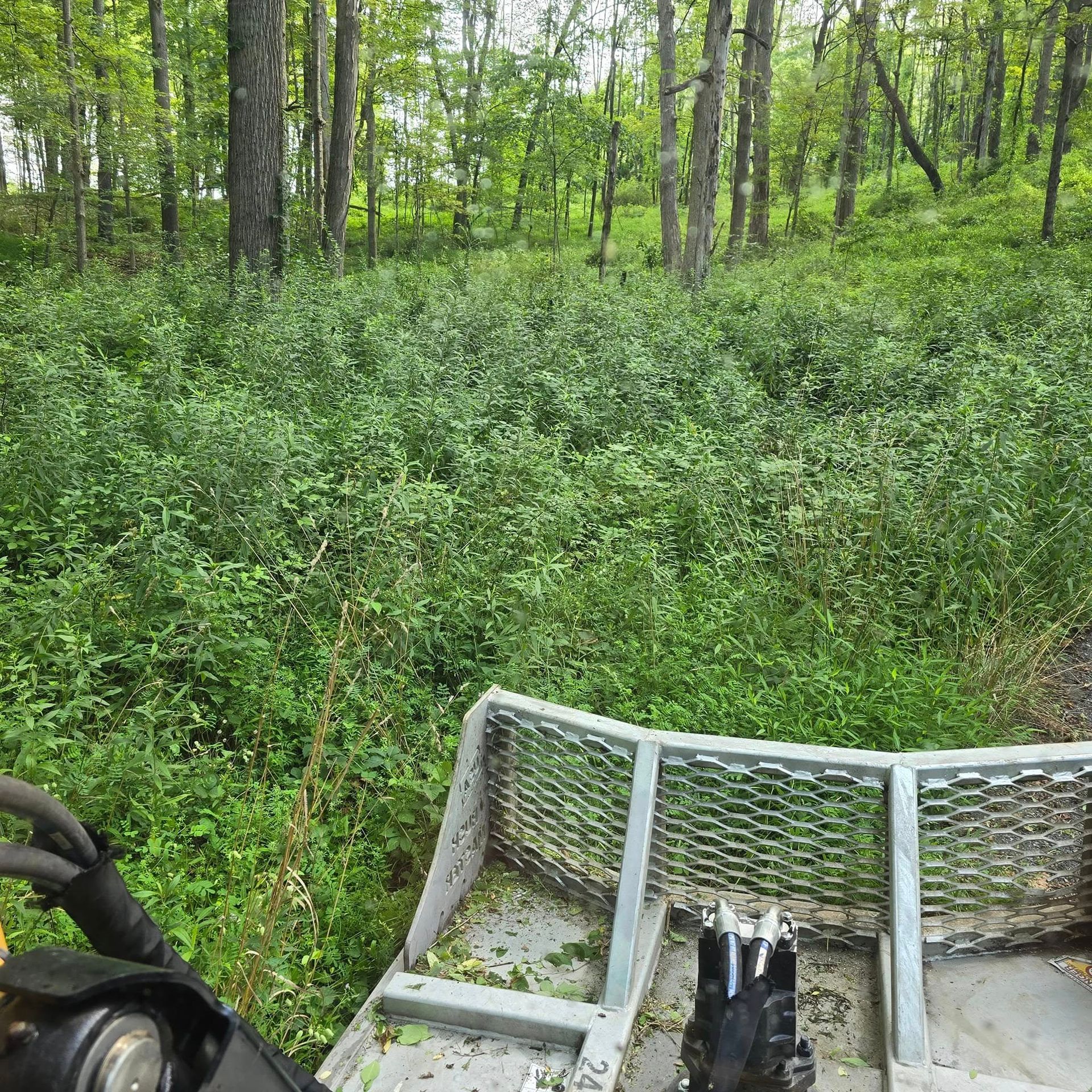 A person is riding a snowmobile through a lush green forest.