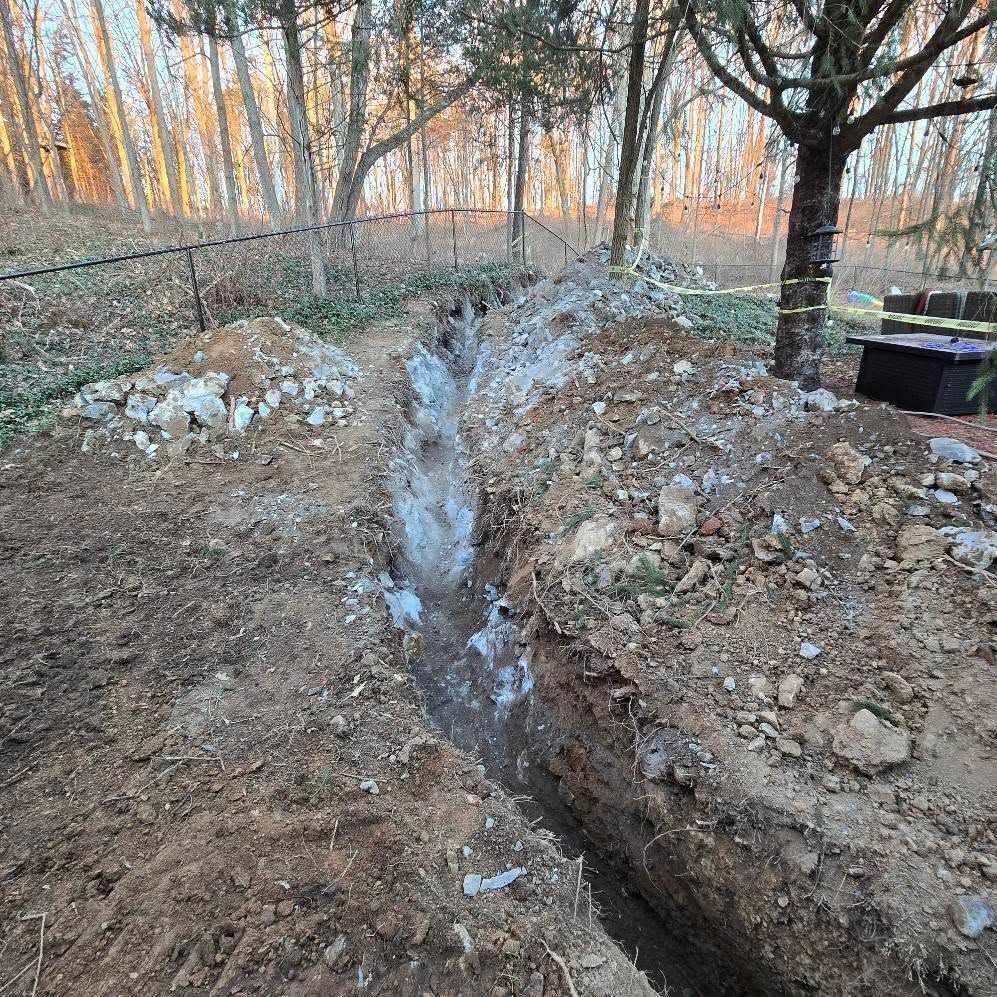 A trench in the dirt in the middle of a forest with trees in the background.