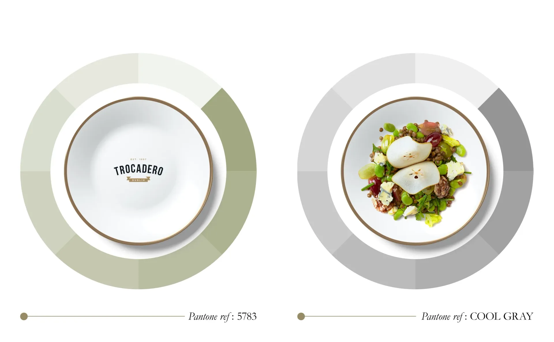 Two white plates with food, one empty, one with salad, color schemes shown.