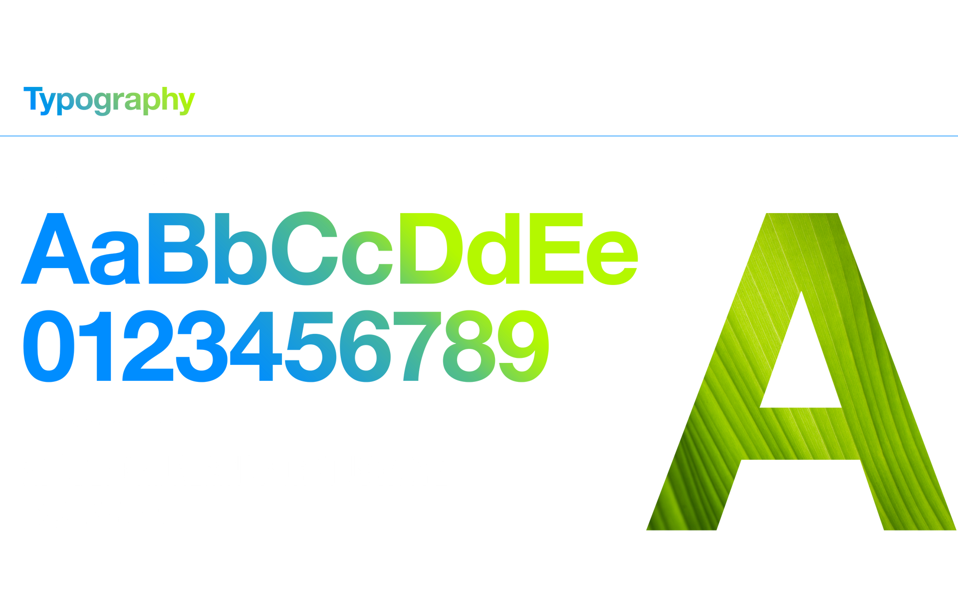 Typography example with alphabet, numbers, and a large 
