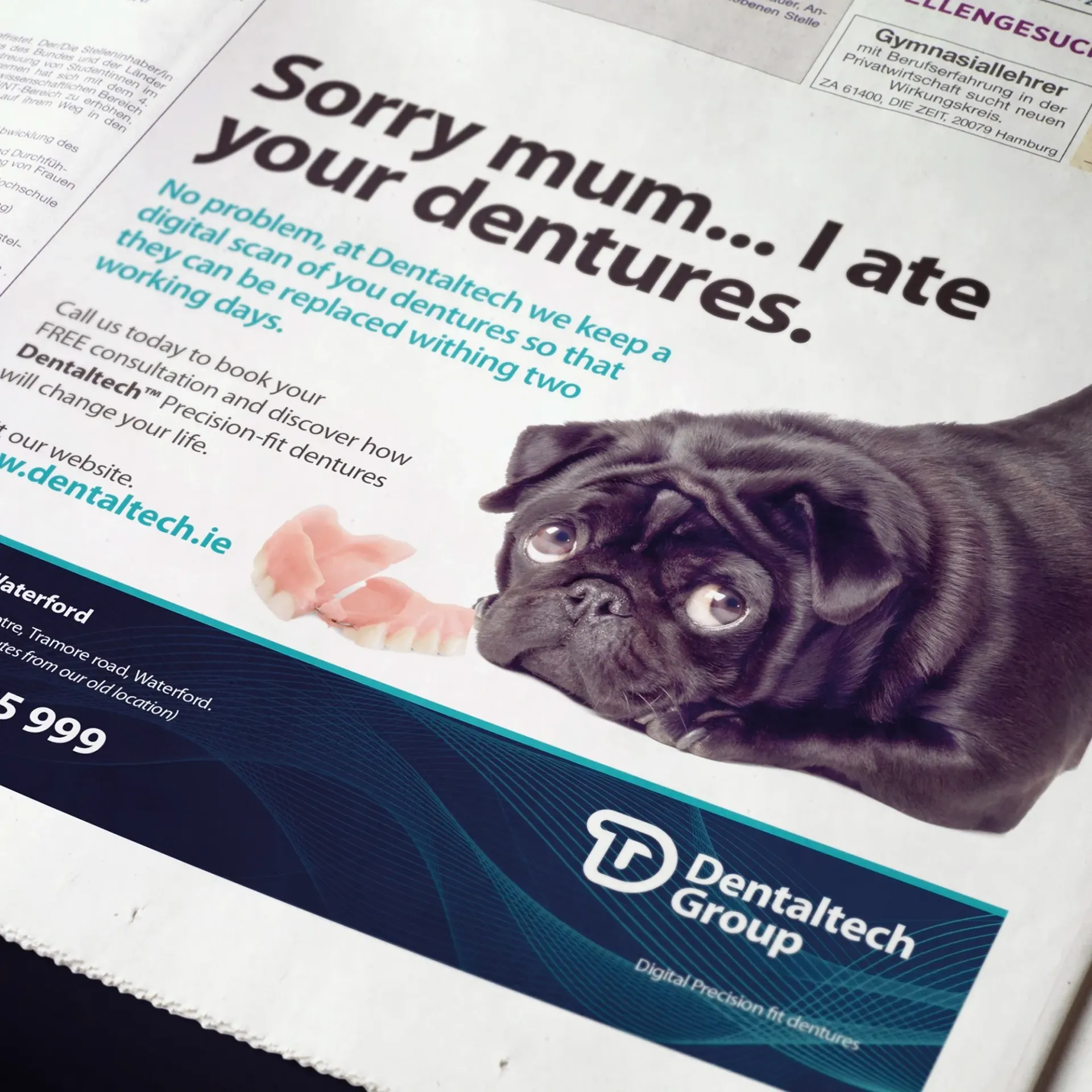 Advert: Pug looking guilty next to a set of dentures. Text says, 