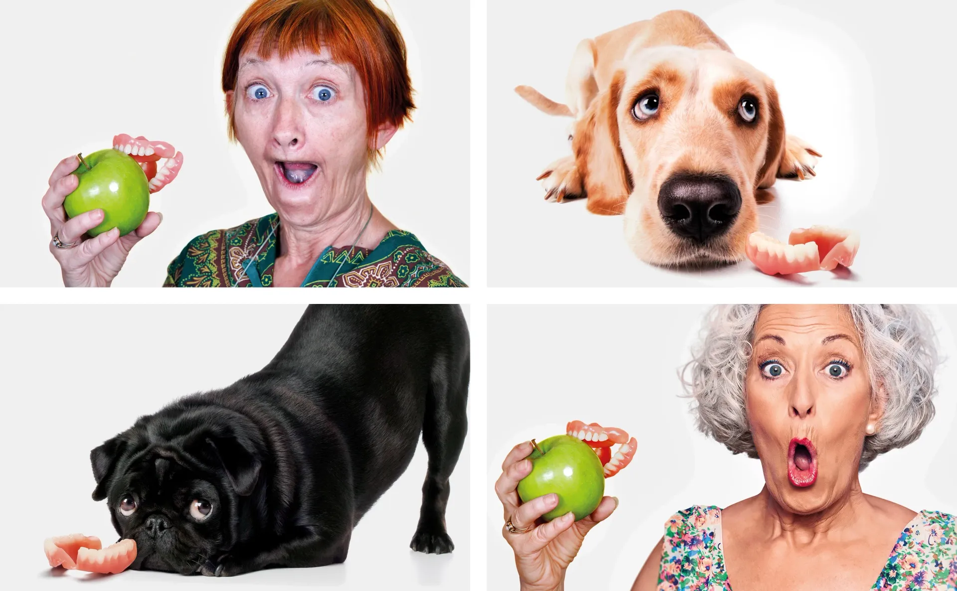 A person and two dogs are next to dentures and a green apple. They have shocked expressions.