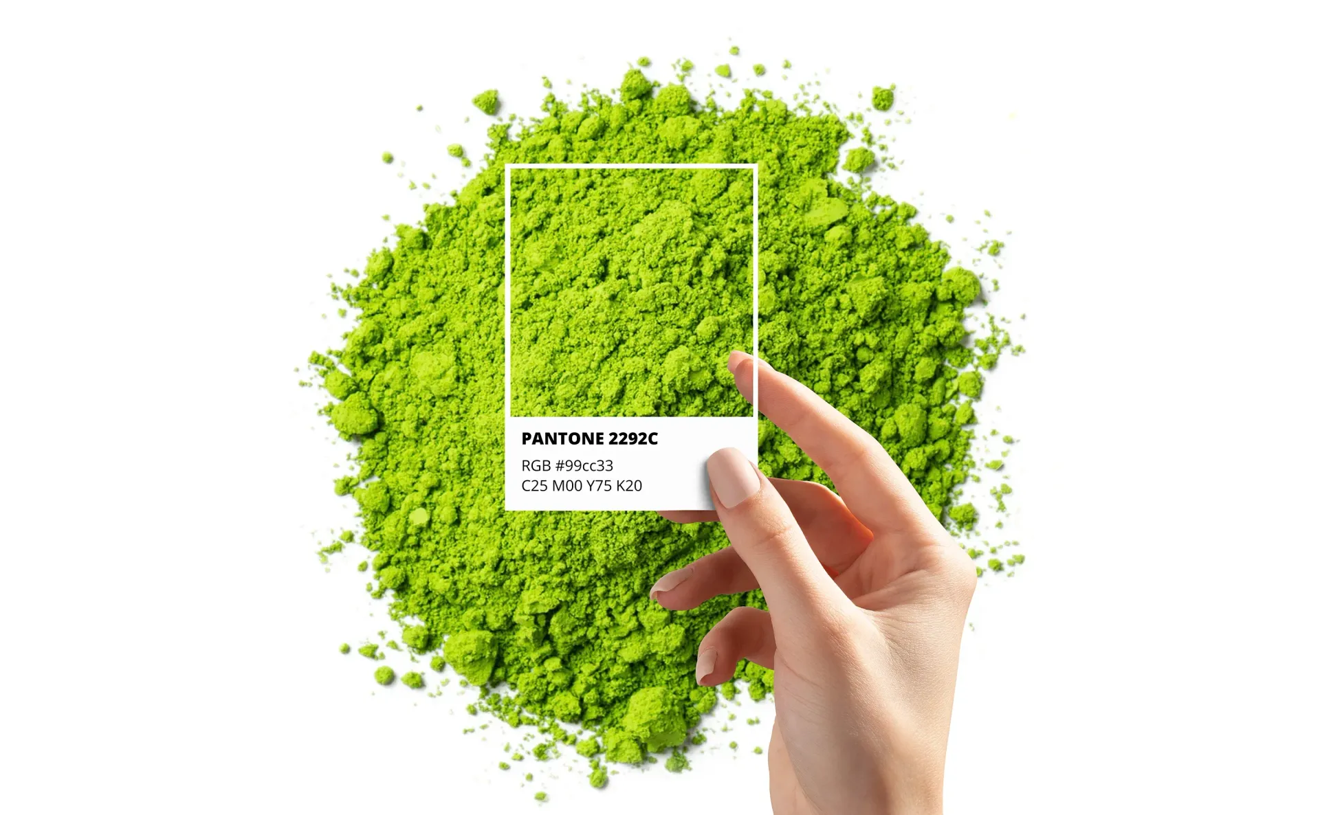 Hand holding Pantone swatch against vibrant green powder.