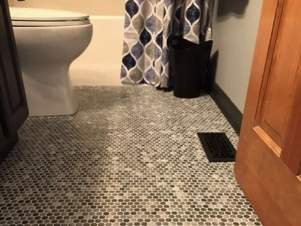 Bathroom with gray and white penny tile floor, toilet, shower curtain, and wood door.