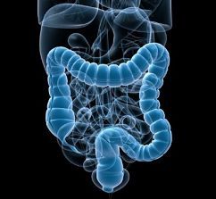 colonscopia virtuale