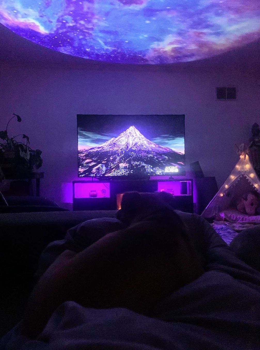 Pet Sitting Near Me in Paducah Dog walking services in Paducah, KY with trusted pet sitters for cats, kittens, dogs and puppy