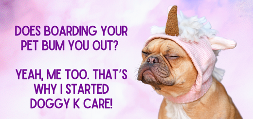 Paducah Dog Boarding Dogs Cats in Paducah with the  best dog sitter and cat sitter in Kentucky