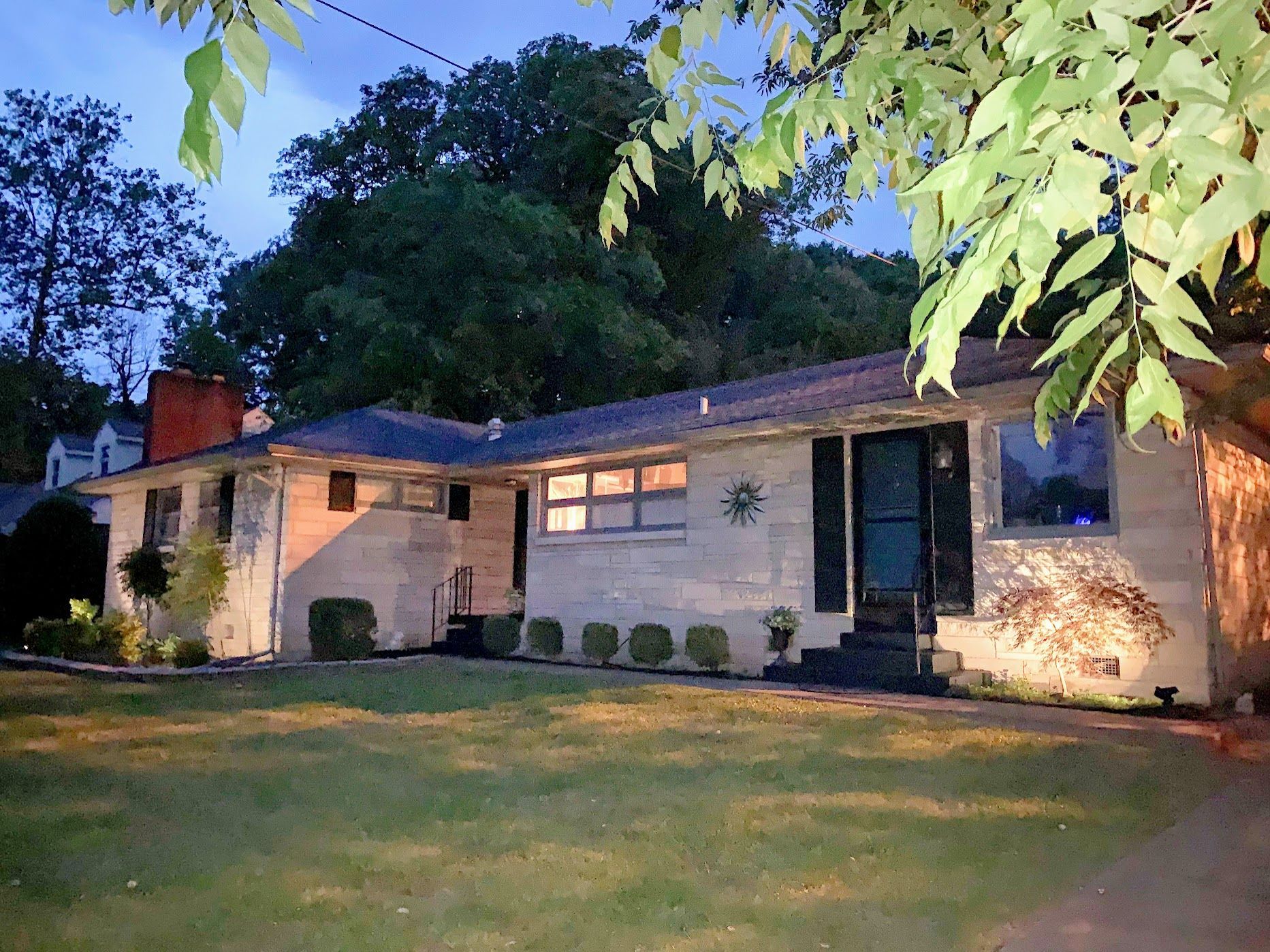 Paducah Dog Sitter Kitty Care Cat Sitter Kitten Sitter Near Me Dog Hotel Airbnb for Pets Pet Hotel in Paducah Doggie Sitter