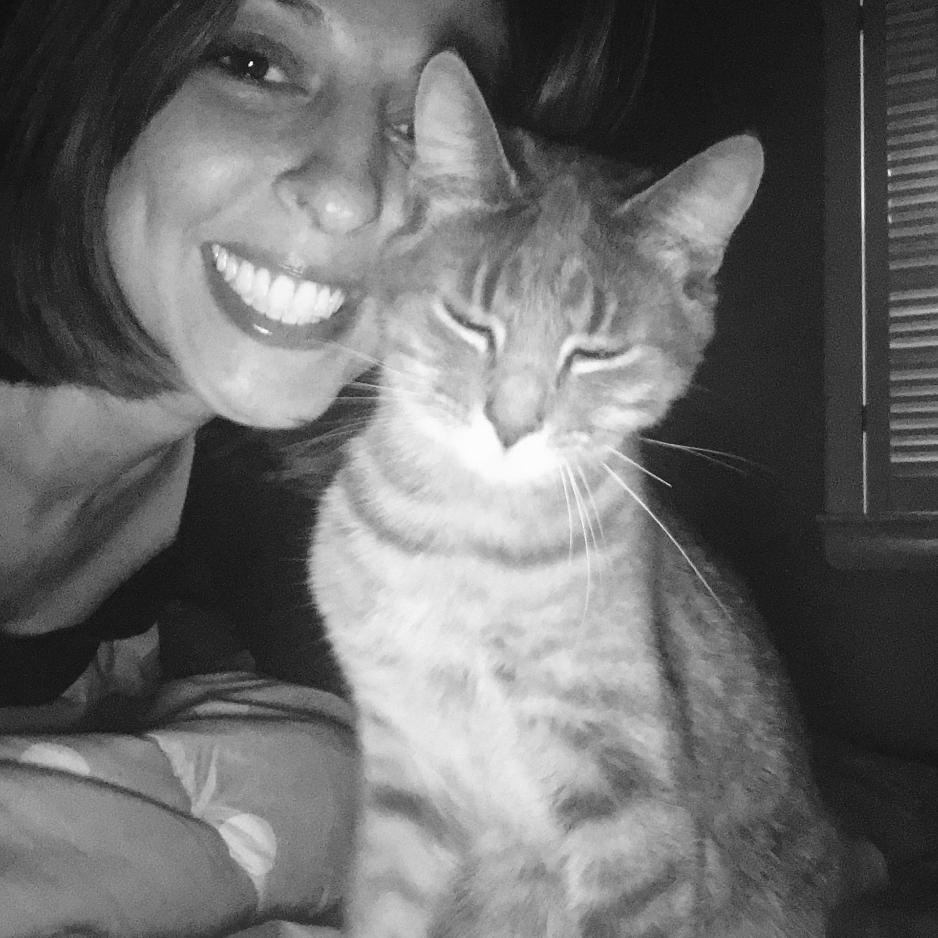 Paducah Pet Sitter in Paducah Lone Oak Murray Mayfield Reidland Benton Eddyville Pet Care Kentucky Lake Pet Care for Kittens 