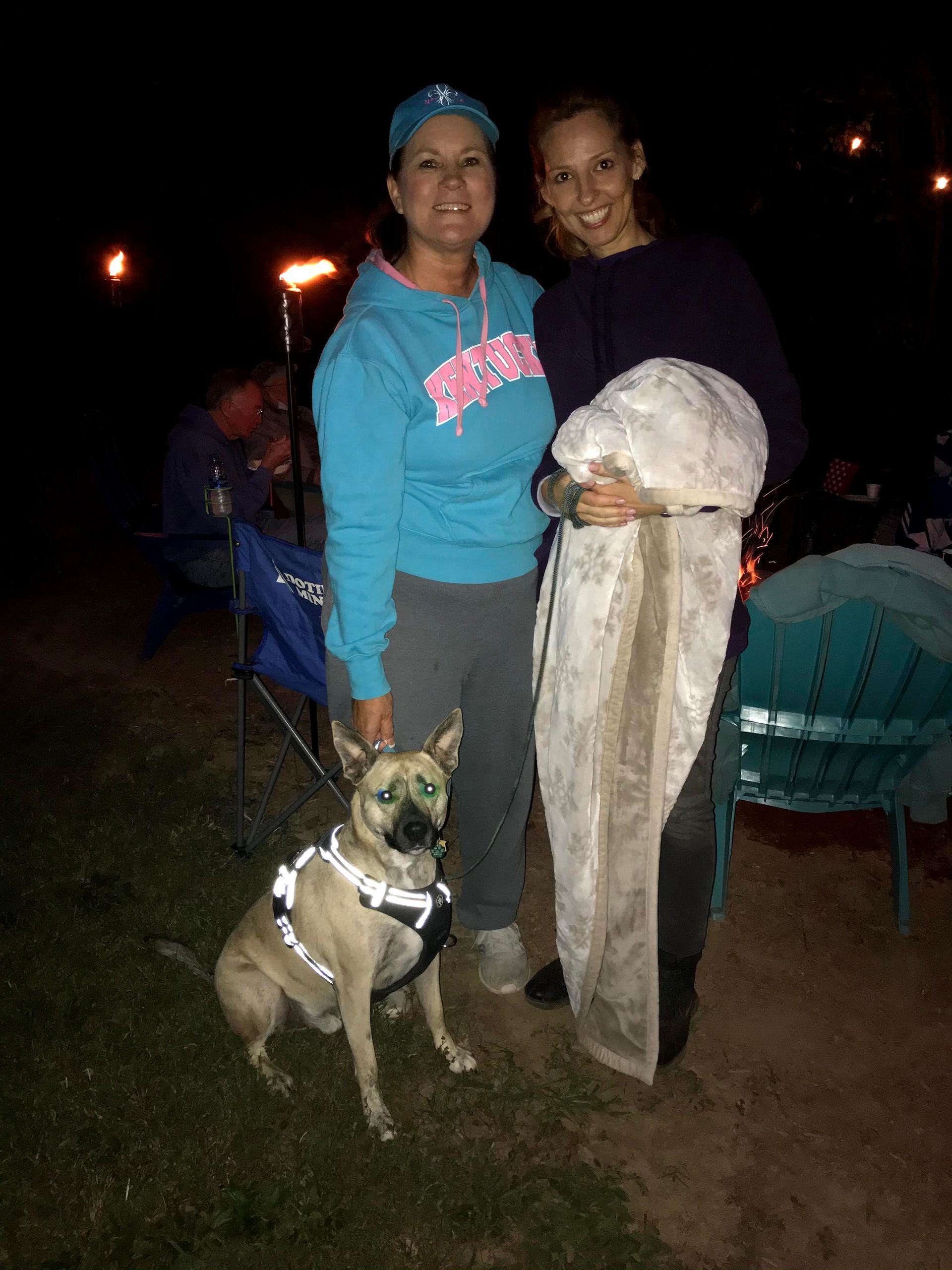 Doggy K Care dog sitter Paducah KY Lone Oak, Murray, Mayfield, Western Kentucky Reliable Pet Sitter, Find Paducah Dog Sitter