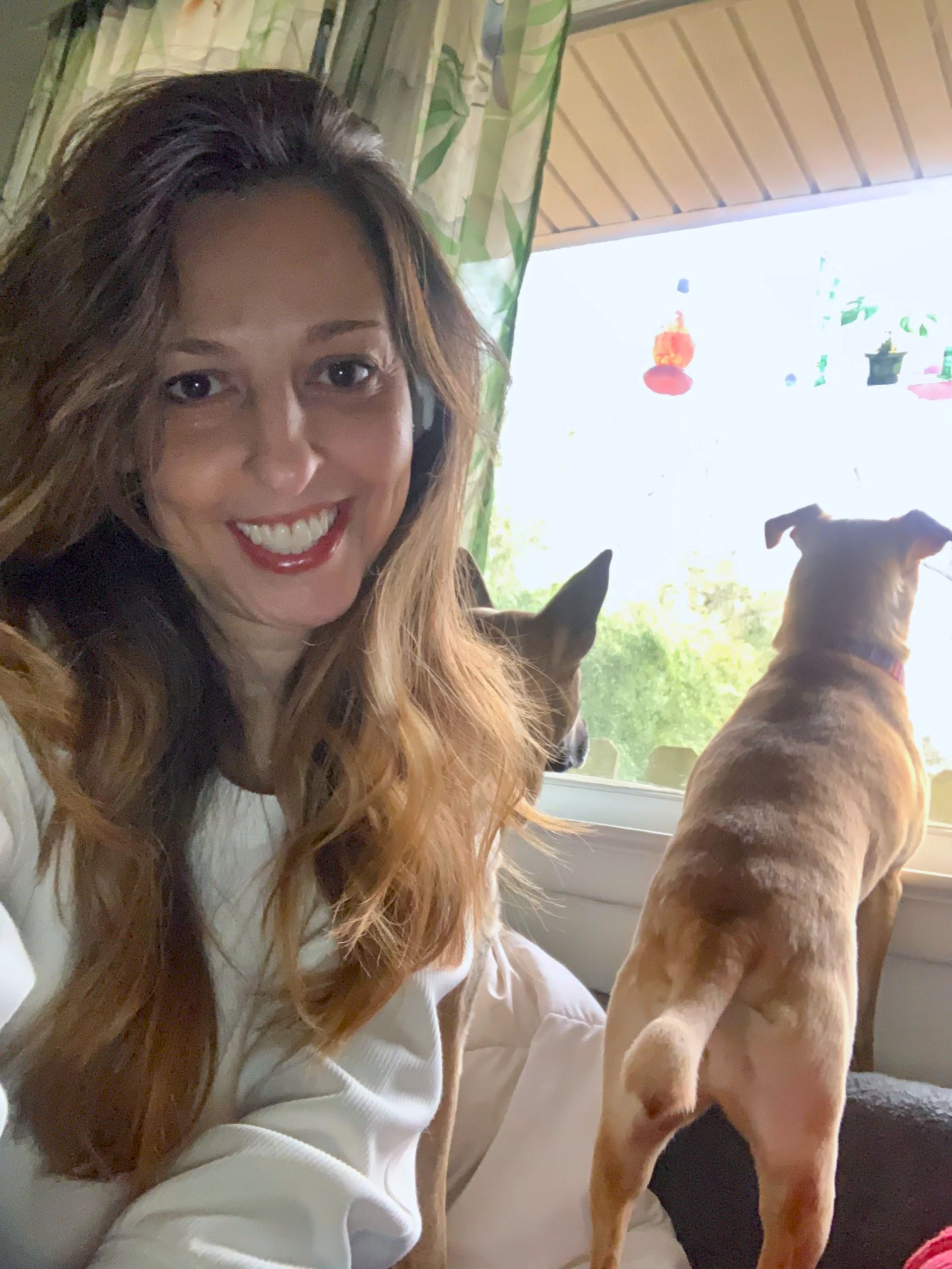 Kasey Adams Dirga Animal Lover offering professional and reliable animal care, dog sitter, cat sitting near you in Paducah KY