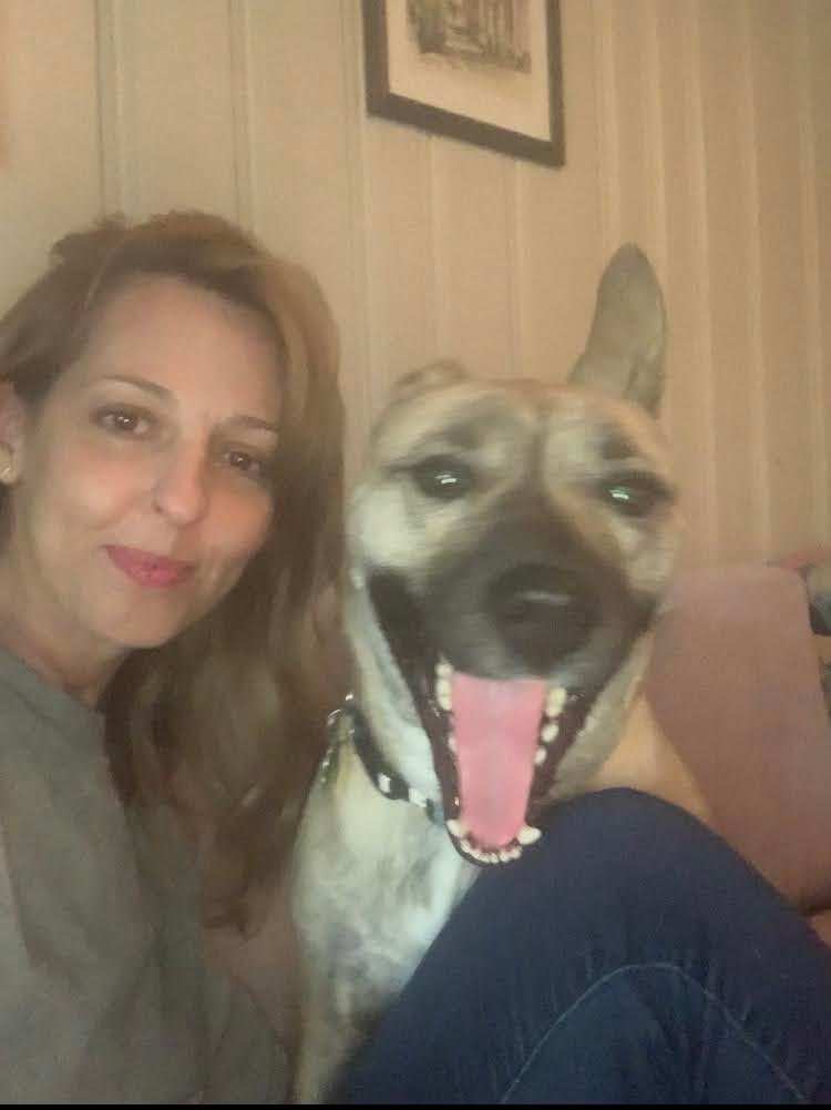 Paducah Pet Sitter in Paducah Lone Oak Murray Mayfield Reidland Benton Eddyville Pet Care Kentucky Lake Pet Care 