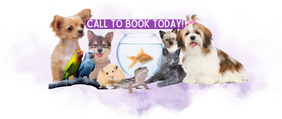 Pets of all kinds cared for by Paducah's Best Pet Sitter
