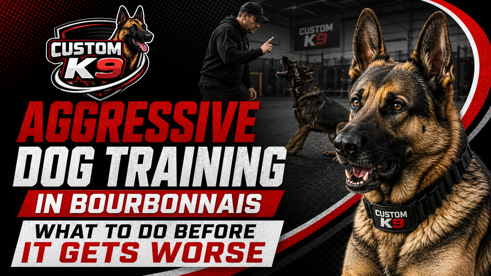 Custom K9 aggressive dog training promo with German shepherd, red and black text, and bold warning slogan