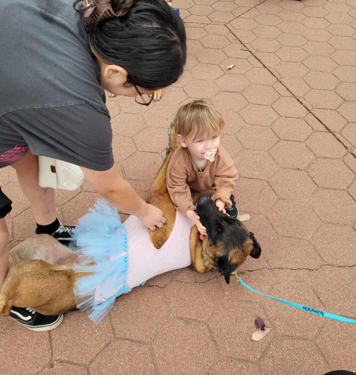 family dog obedience training