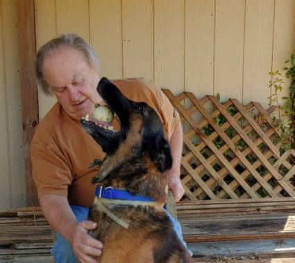 in home dog training in bourbonnais illinois