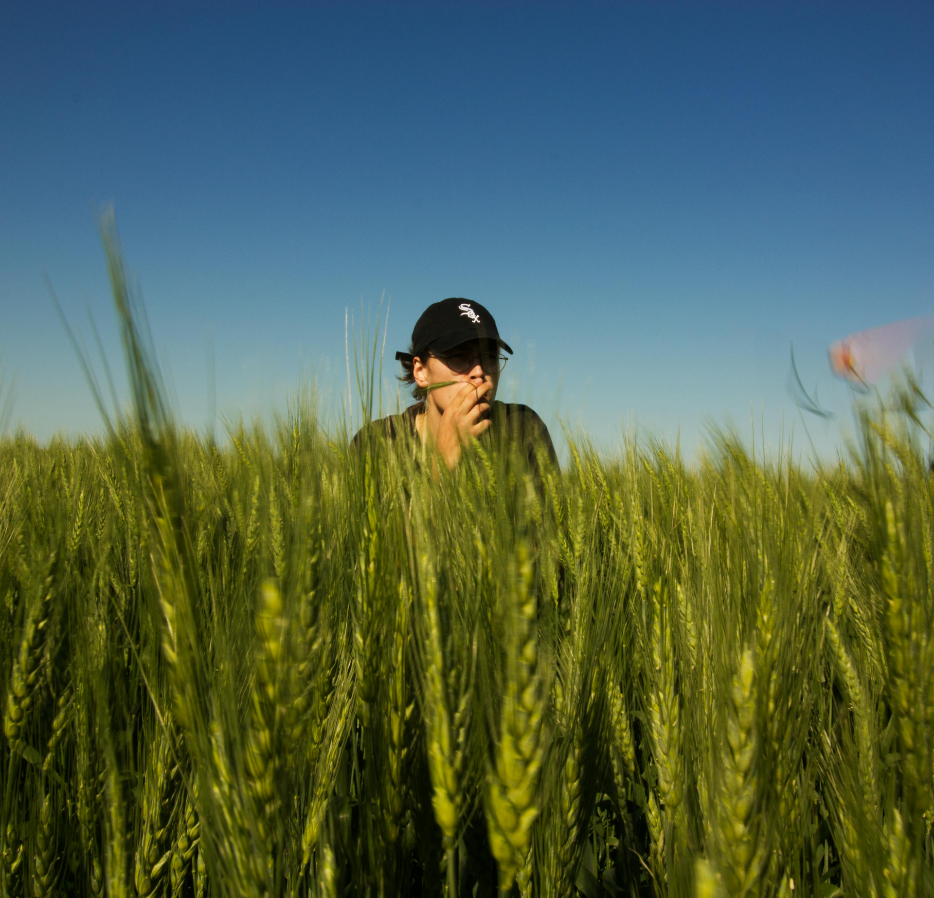 A man is standing in a field of wheat covering his face with his hands.