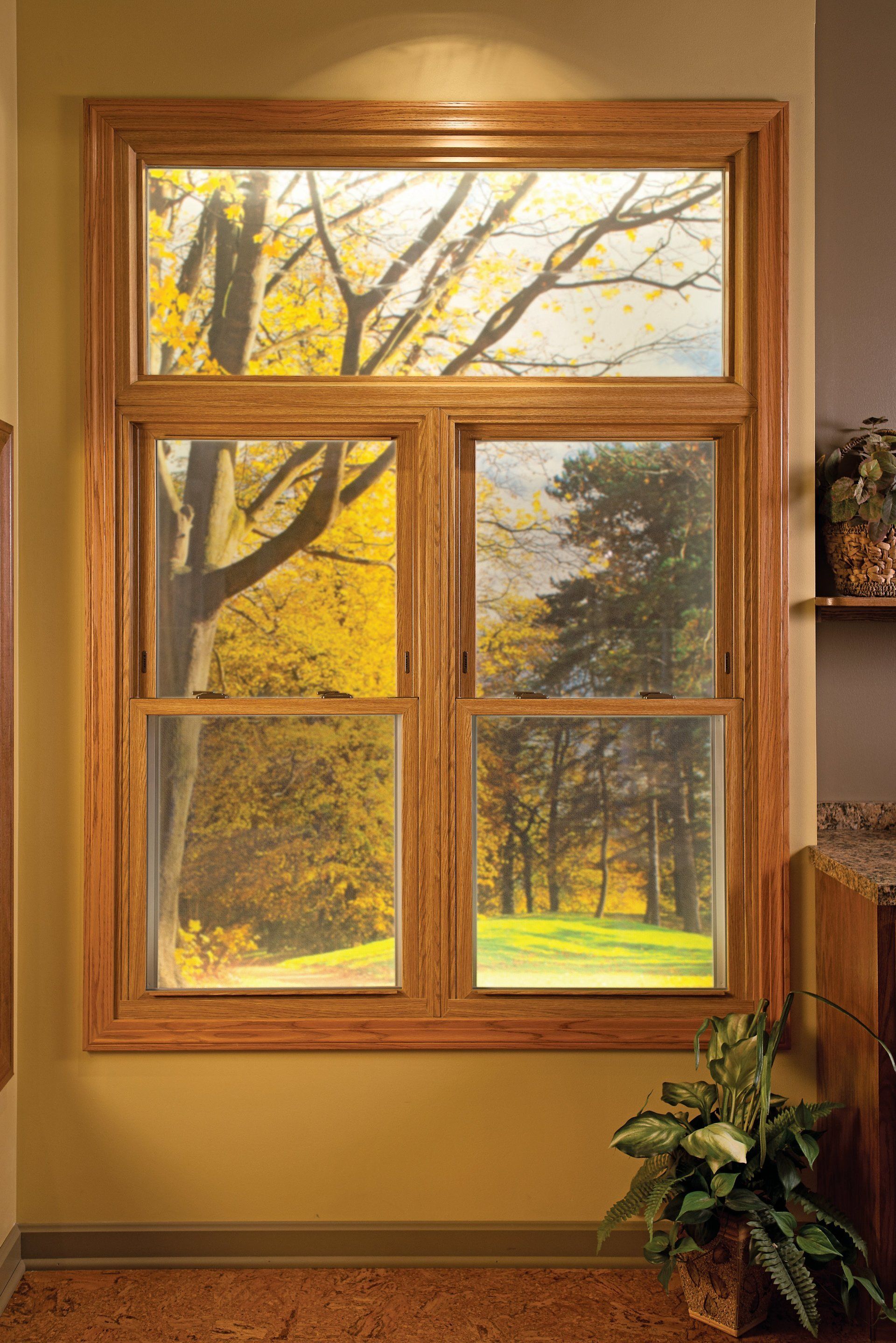 Windows — Wood Frame Double Hung Window in Mansfield, OH