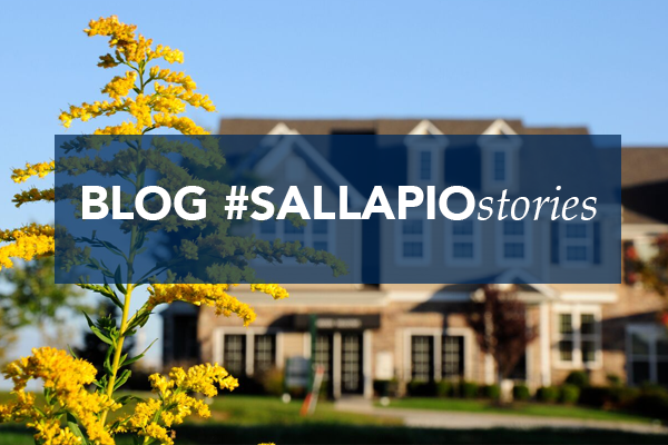 Sal Lapio Blog | Sal Lapio Homes