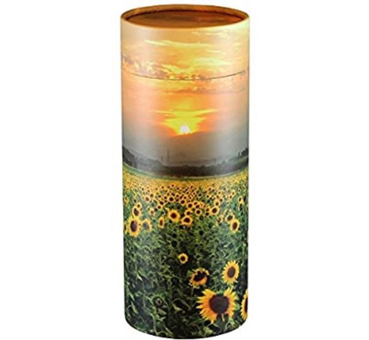cardboard scatter tube with field of sunflowers design