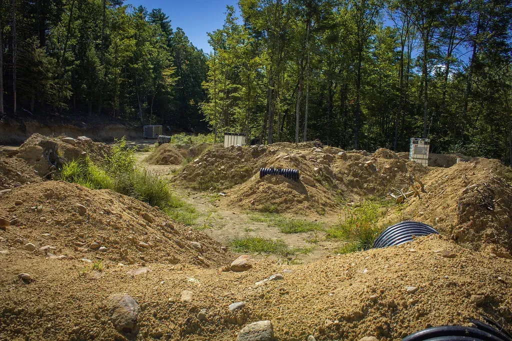 Wooded area with a covered wagon and cut logs. Sunny day in a forest setting.